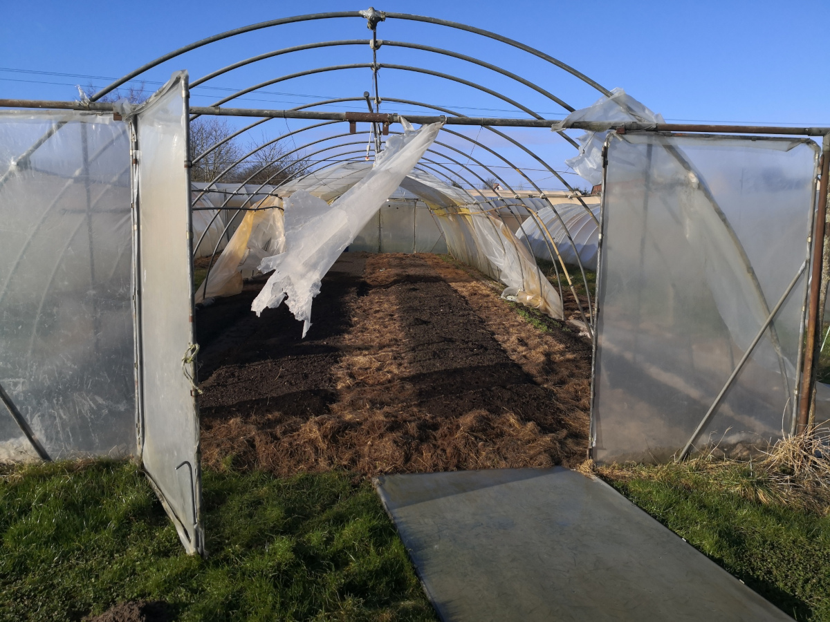 Sturmschaden Gewächshäuser